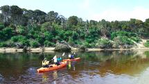 Kayak Hire Papatowai - The Catlins - Half Day 